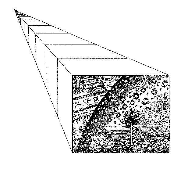 6 die prinzipien der meta morphologie
